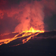 Ilustración para el artículo titulado La erupción del volcán Wolf amenaza una especie única de las Galápagos